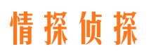 河西侦探公司